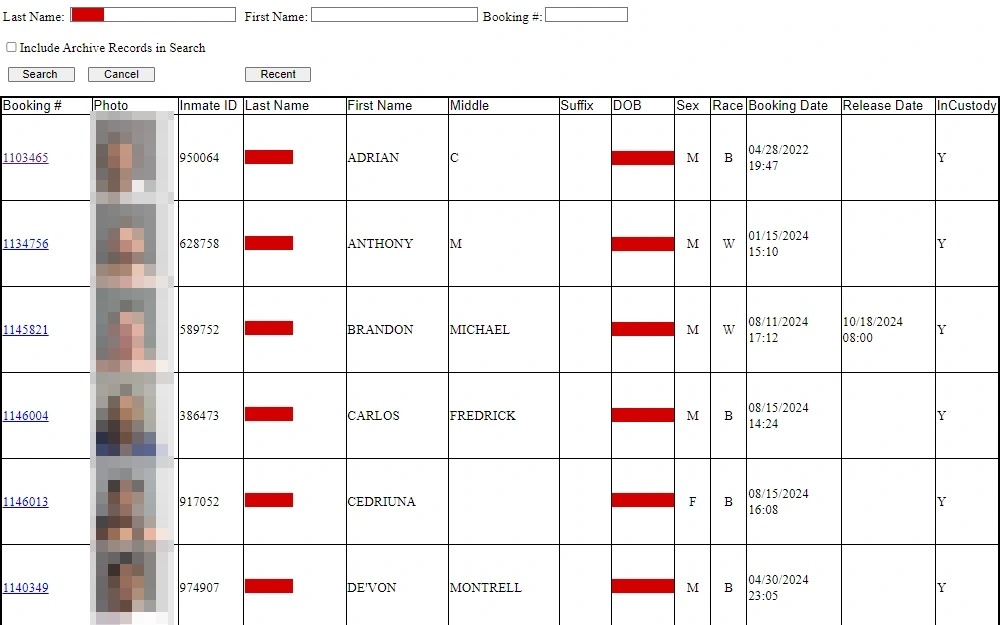 A screenshot of the search results for inmates in Volusia County Division of Corrections display a table containing the inmate’s booking number, mugshot, inmate identification number, full name, birthdate, sex, race, booking date, release date, and custody status